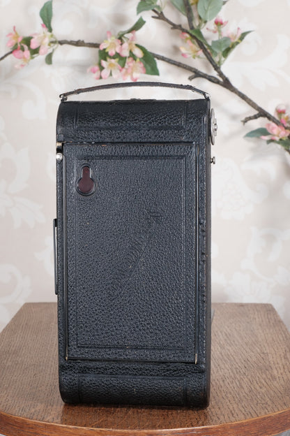 Giant! 1932 Voigtlander 8.5x14 Folding camera with 150mm Skopar lens. Freshly Serviced, CLA'd.