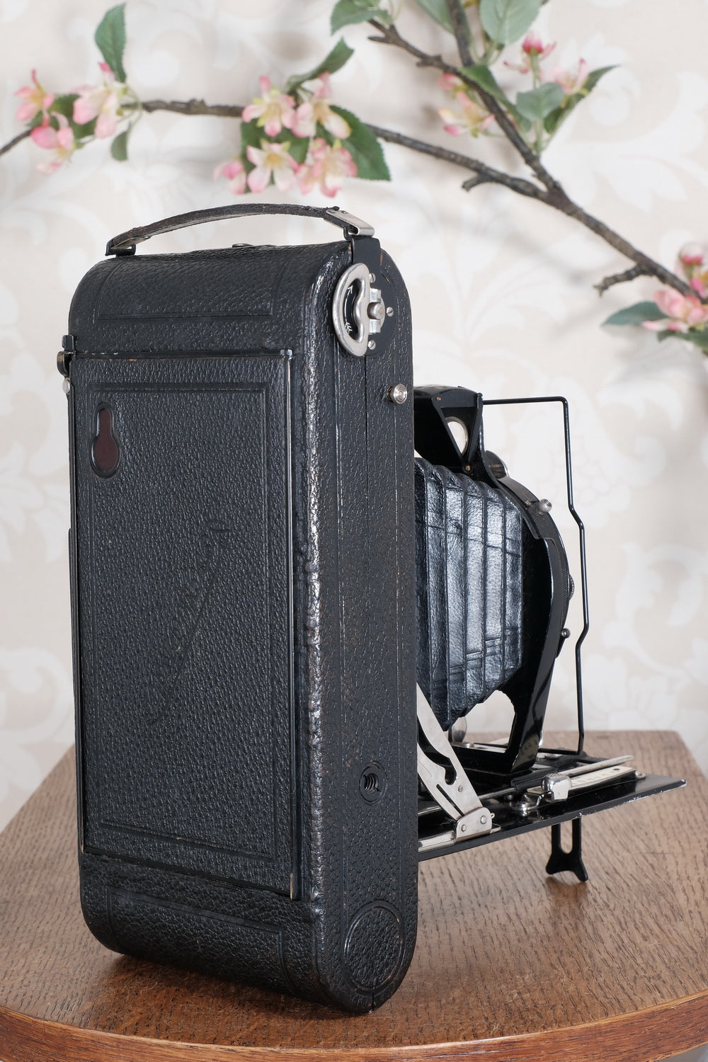Giant! 1932 Voigtlander 8.5x14 Folding camera with 150mm Skopar lens. Freshly Serviced, CLA'd.
