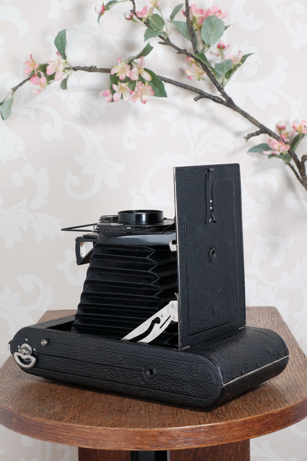 Giant! 1932 Voigtlander 8.5x14 Folding camera with 150mm Skopar lens. Freshly Serviced, CLA'd.