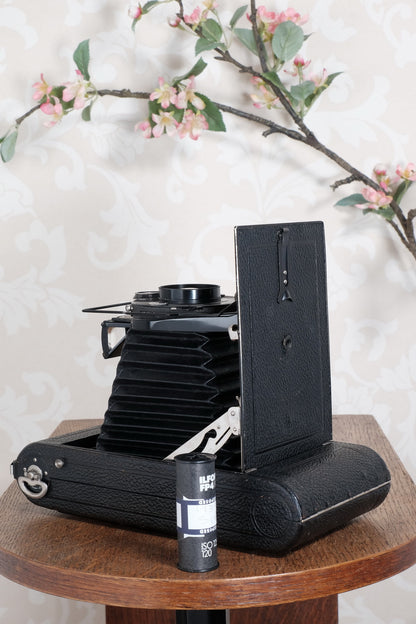 Giant! 1932 Voigtlander 8.5x14 Folding camera with 150mm Skopar lens. Freshly Serviced, CLA'd.