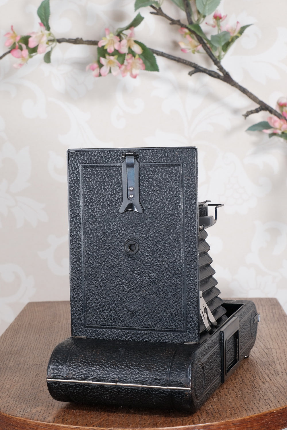 Giant! 1932 Voigtlander 8.5x14 Folding camera with 150mm Skopar lens. Freshly Serviced, CLA'd.