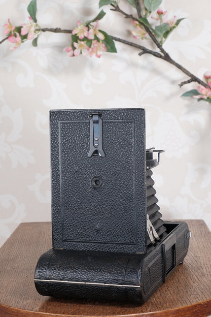 Giant! 1932 Voigtlander 8.5x14 Folding camera with 150mm Skopar lens. Freshly Serviced, CLA'd.