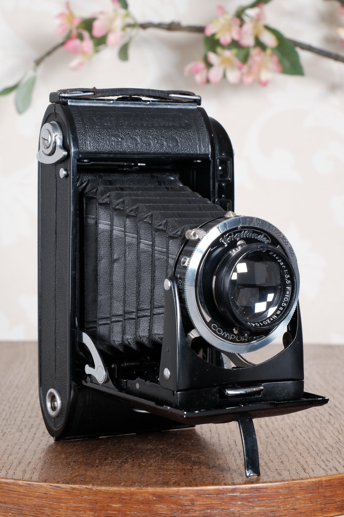 Superb! 1938 Voigtlander 6x9 Bessa Rangefinder with Skopar lens, Freshly Serviced, CLA'd.