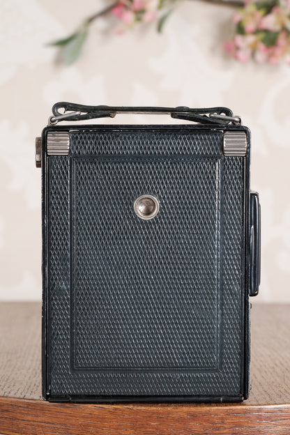 Rare Green Voigtlander 1934 Bergheil (DeLuxe) Camera with 120mm Heliar lens & leather case! Freshly serviced, CLA'd!