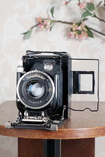 Rare Green Voigtlander 1934 Bergheil (DeLuxe) Camera with 120mm Heliar lens & leather case! Freshly serviced, CLA'd!