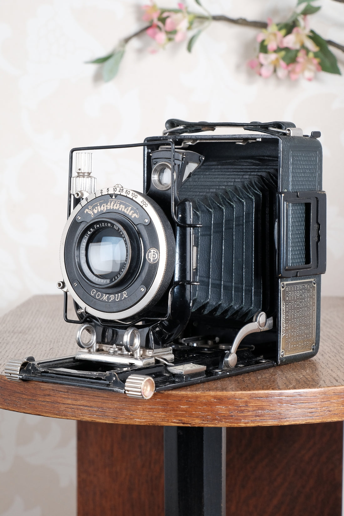 Rare Green Voigtlander 1934 Bergheil (DeLuxe) Camera with 120mm Heliar lens & leather case! Freshly serviced, CLA'd!