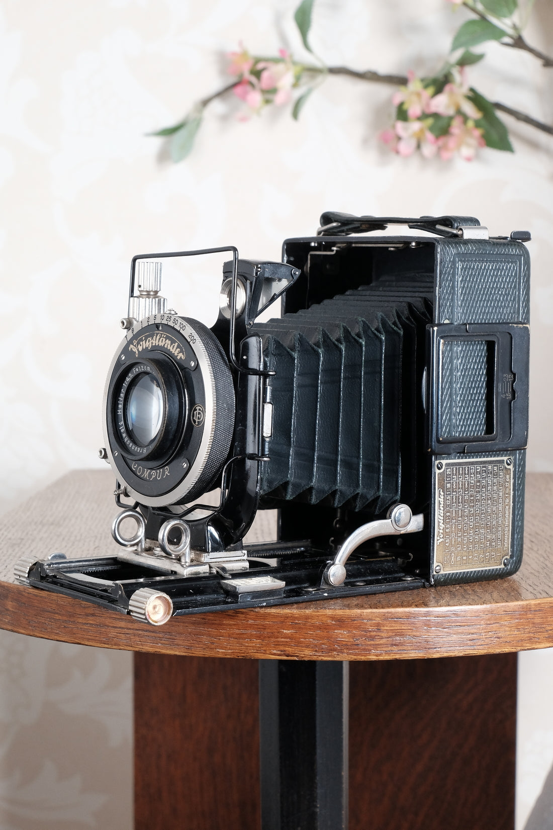Rare Green Voigtlander 1934 Bergheil (DeLuxe) Camera with 120mm Heliar lens & leather case! Freshly serviced, CLA'd!