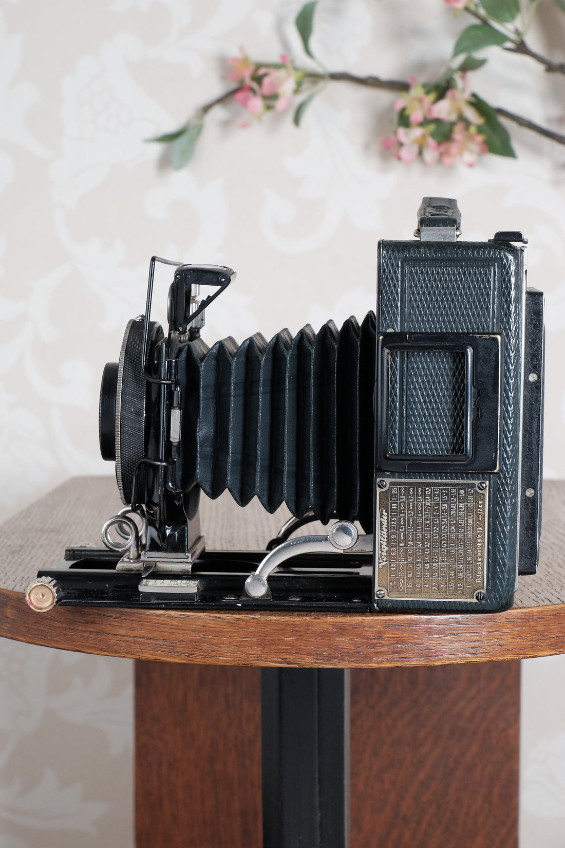 Rare Green Voigtlander 1934 Bergheil (DeLuxe) Camera with 120mm Heliar lens & leather case! Freshly serviced, CLA'd!
