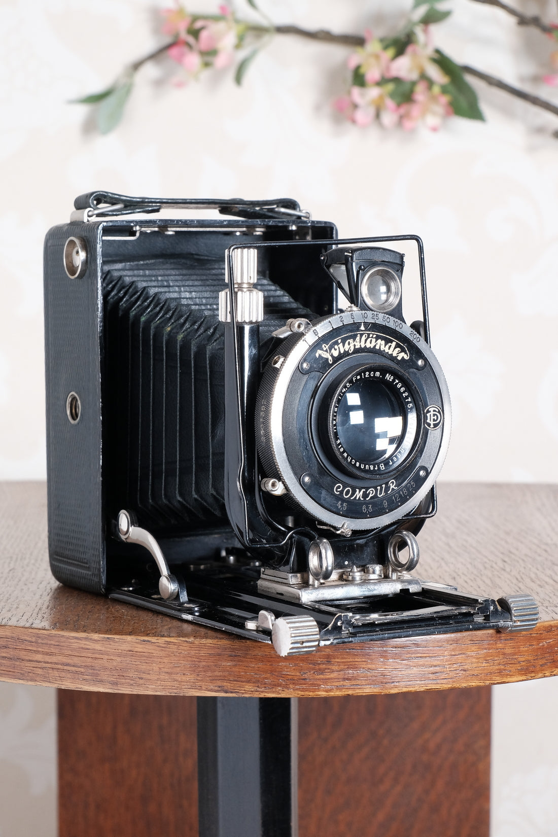 Rare Green Voigtlander 1934 Bergheil (DeLuxe) Camera with 120mm Heliar lens & leather case! Freshly serviced, CLA'd!