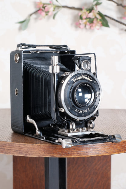 Rare Green Voigtlander 1934 Bergheil (DeLuxe) Camera with 120mm Heliar lens & leather case! Freshly serviced, CLA'd!