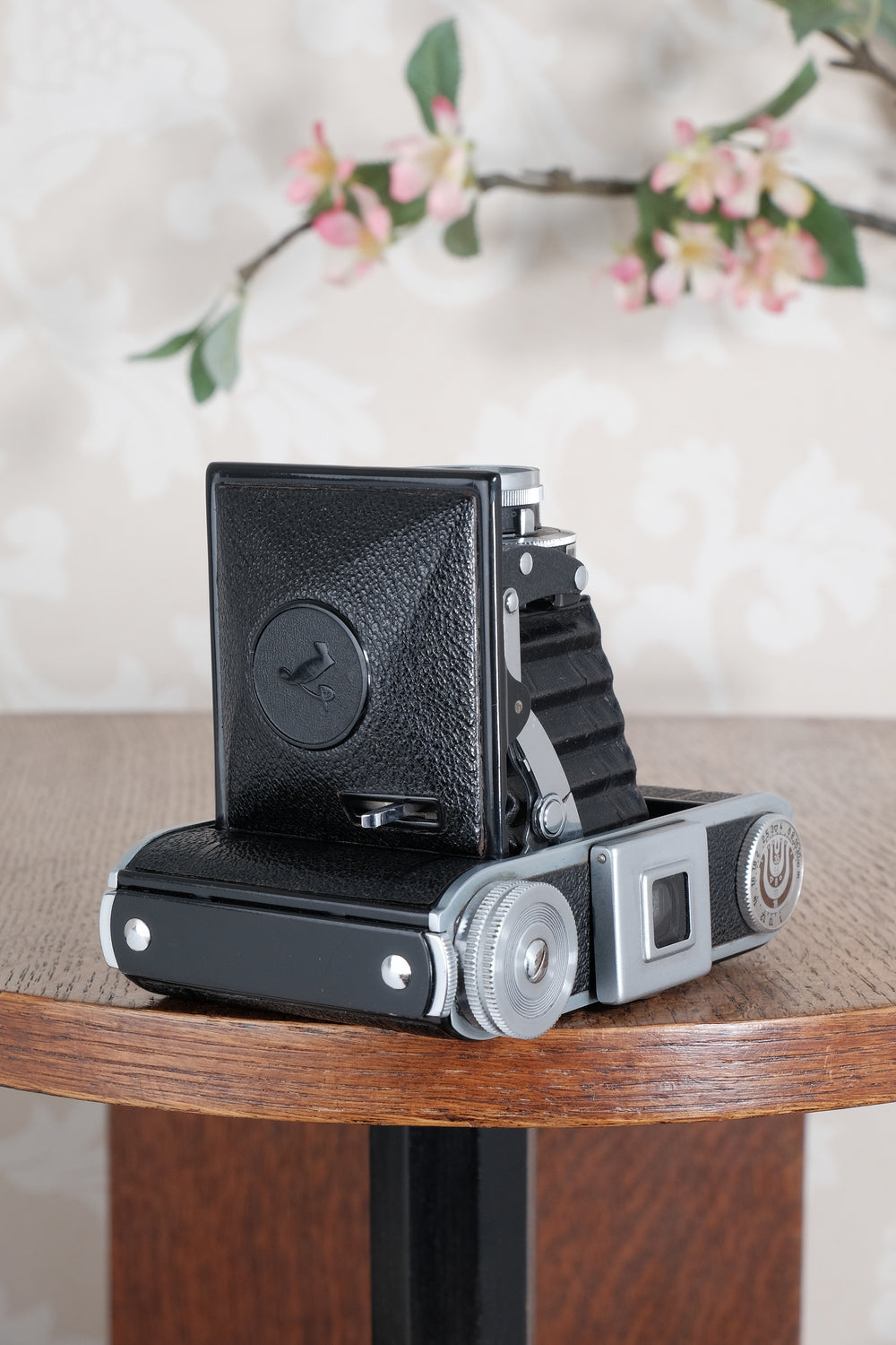 Near mint! 1945 Voigtlander “Klein Bessa” 66. CLA'd, Freshly Serviced!