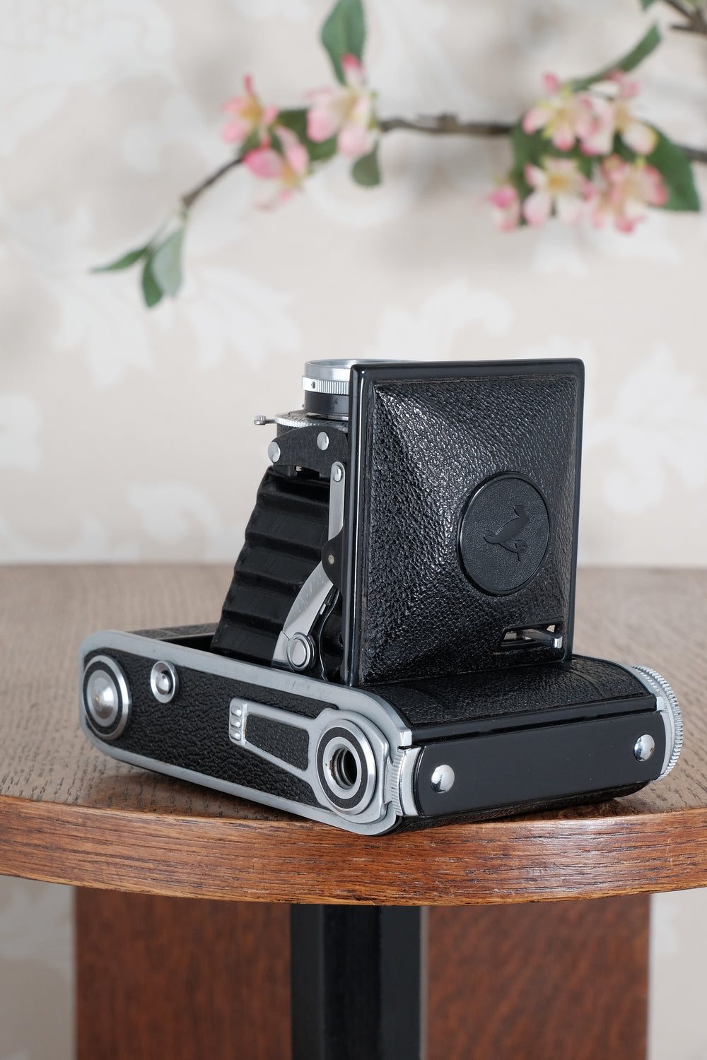 Near mint! 1945 Voigtlander “Klein Bessa” 66. CLA'd, Freshly Serviced!