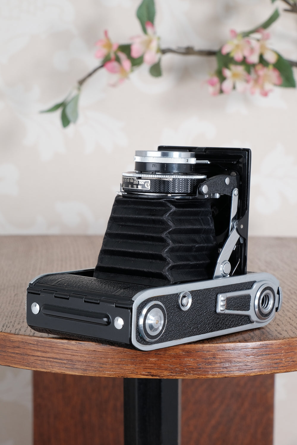 Near mint! 1945 Voigtlander “Klein Bessa” 66. CLA'd, Freshly Serviced!