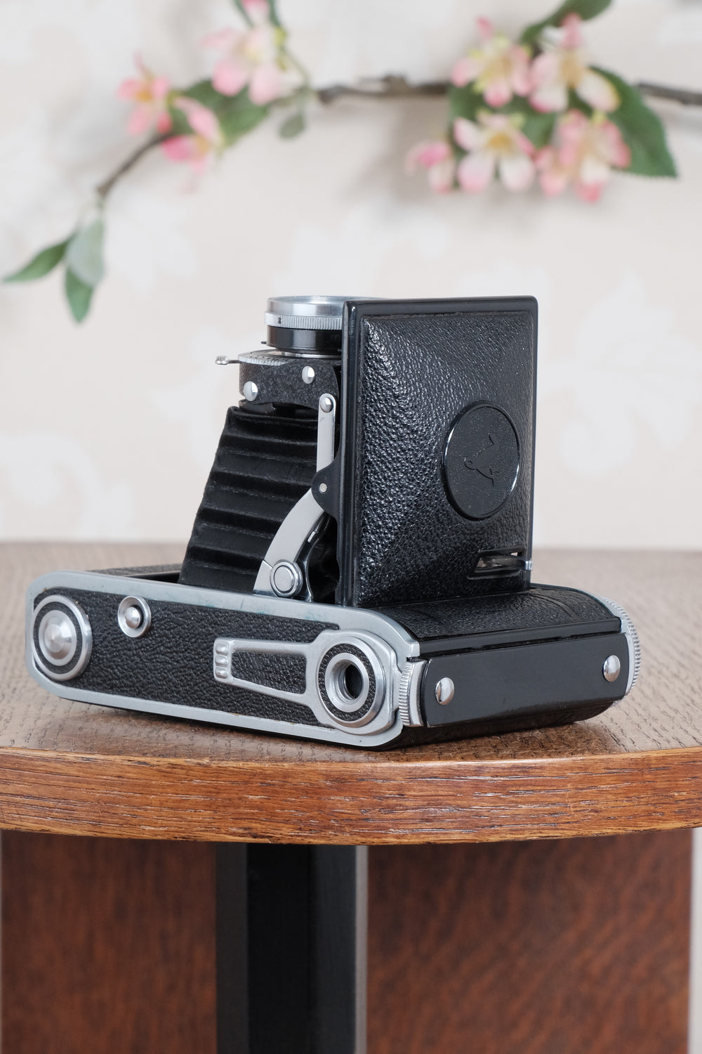Near Mint! 1945 Voigtlander “Klein Bessa” 66. CLA's, Freshly Serviced
