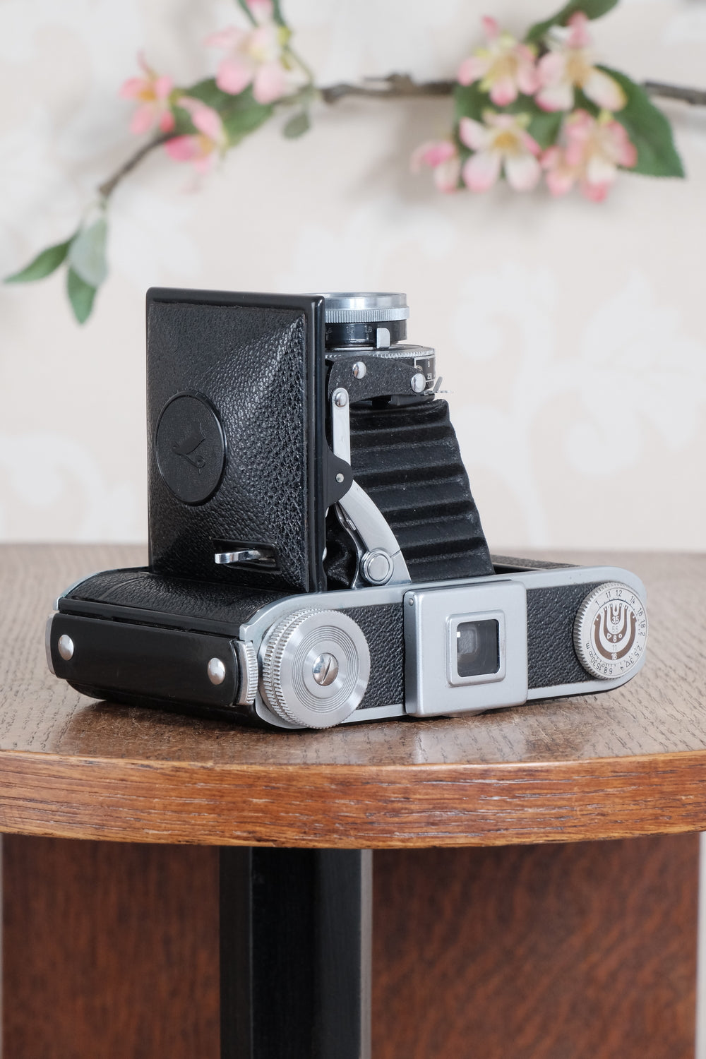 Near Mint! 1945 Voigtlander “Klein Bessa” 66. CLA's, Freshly Serviced