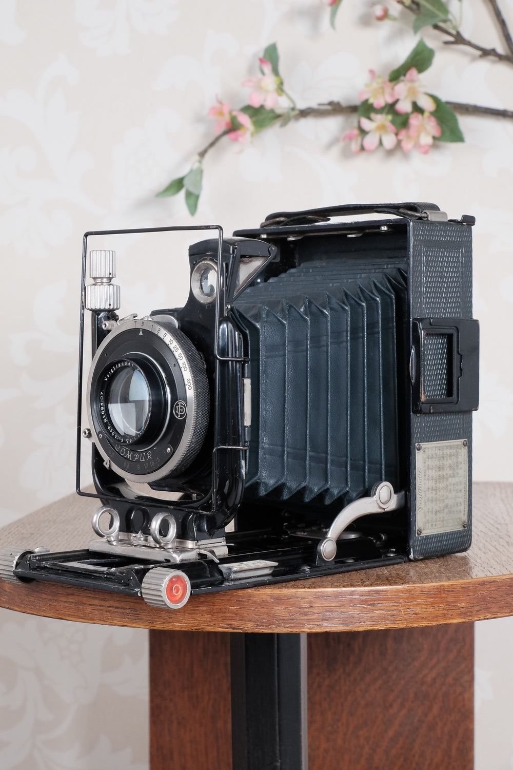 Rare Green Voigtlander 1934 Bergheil (DeLuxe) Camera with Heliar lens and roll-film back. Freshly serviced, CLA'd!