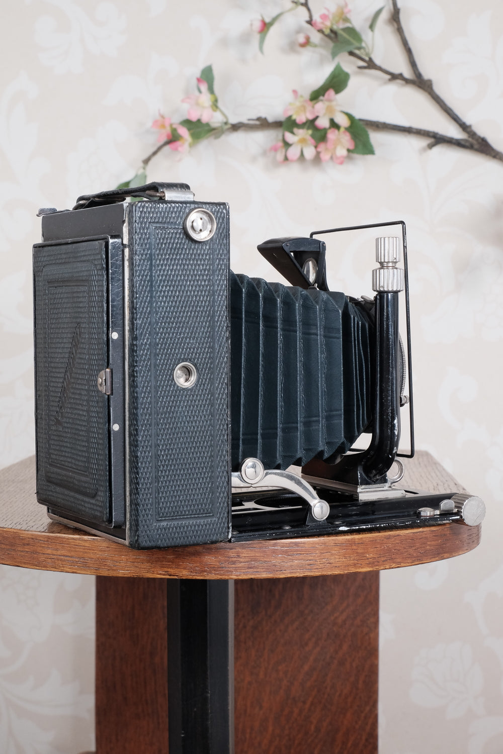 Rare Green Voigtlander 1934 Bergheil (DeLuxe) Camera with Heliar lens and roll-film back. Freshly serviced, CLA'd!