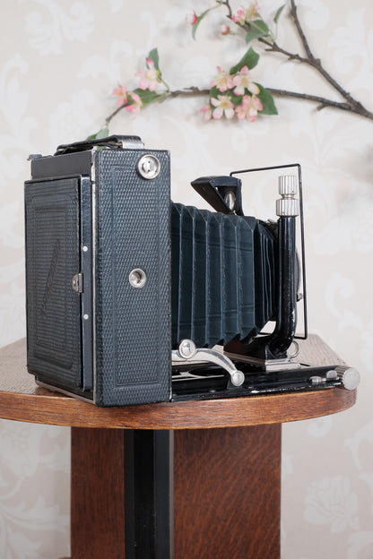 Rare Green Voigtlander 1934 Bergheil (DeLuxe) Camera with Heliar lens and roll-film back. Freshly serviced, CLA'd!