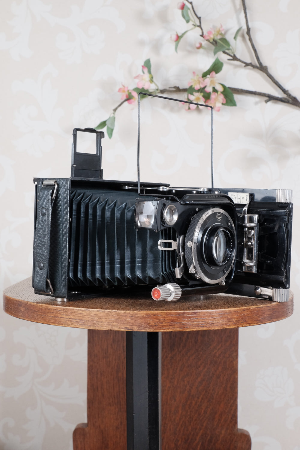 Rare Green Voigtlander 1934 Bergheil (DeLuxe) Camera with Heliar lens and roll-film back. Freshly serviced, CLA'd!