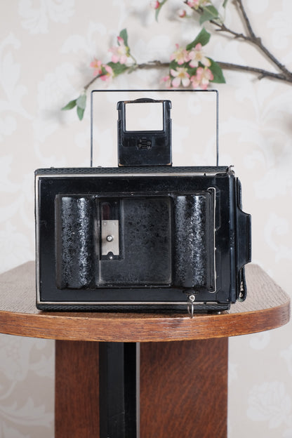 Rare Green Voigtlander 1934 Bergheil (DeLuxe) Camera with Heliar lens and roll-film back. Freshly serviced, CLA'd!