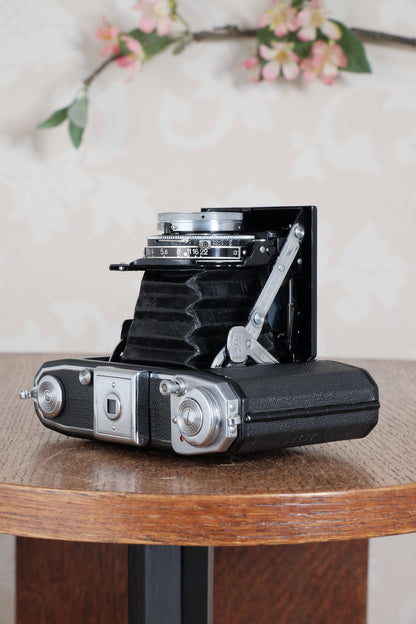 Near Mint! 1952 6x6 Zeiss-Ikon Ikonta. Freshly Serviced, CLA'd - Zeiss-Ikon- Petrakla Classic Cameras