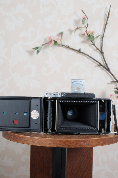 SUPERB! 1952 Zeiss Ikon Super Ikonta 6x9, Tessar lens. CLA’d, Freshly Serviced! - Zeiss-Ikon- Petrakla Classic Cameras