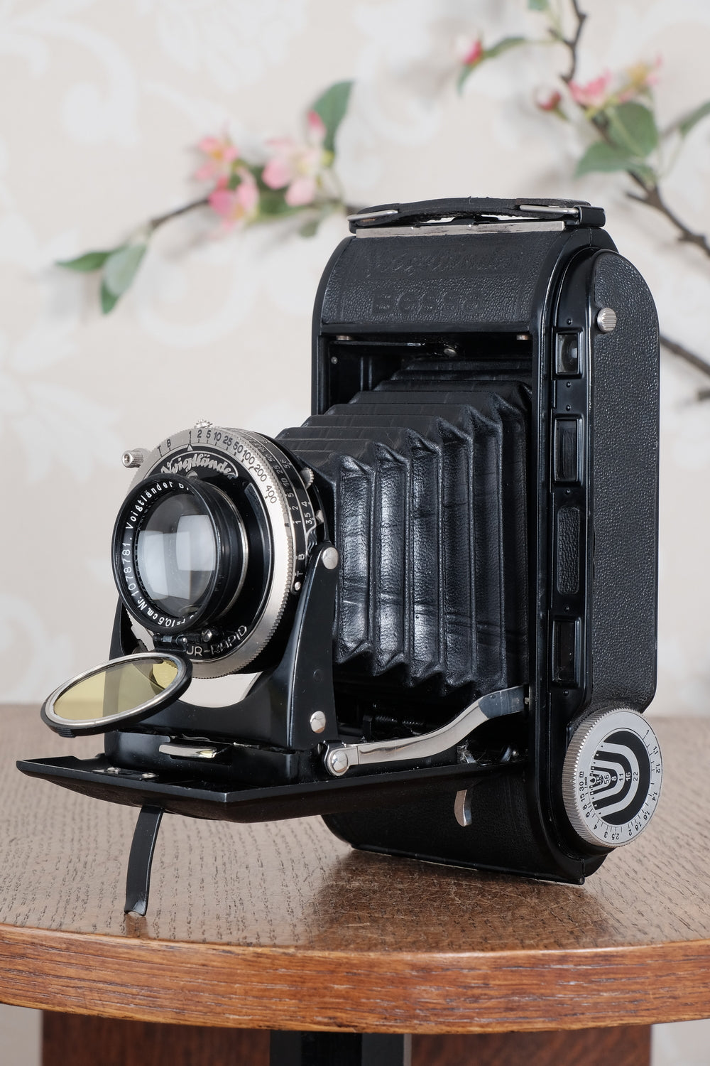 Near Mint! 1936 Voigtlander 6x9 Black Bessa rangefinder with Heliar lens! Freshly Serviced, CLA'd. - Voigtlander- Petrakla Classic Cameras