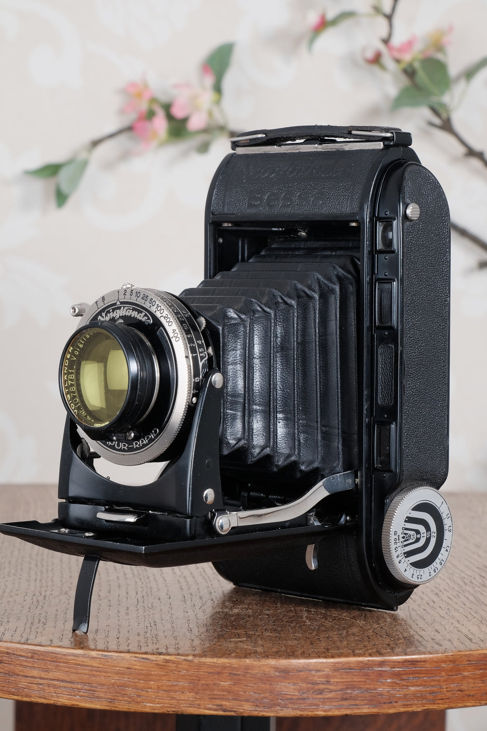 Near Mint! 1936 Voigtlander 6x9 Black Bessa rangefinder with Heliar lens! Freshly Serviced, CLA'd. - Voigtlander- Petrakla Classic Cameras