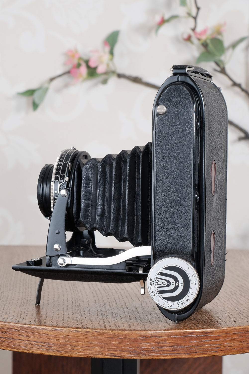 Near Mint! 1936 Voigtlander 6x9 Black Bessa rangefinder with Heliar lens! Freshly Serviced, CLA'd. - Voigtlander- Petrakla Classic Cameras