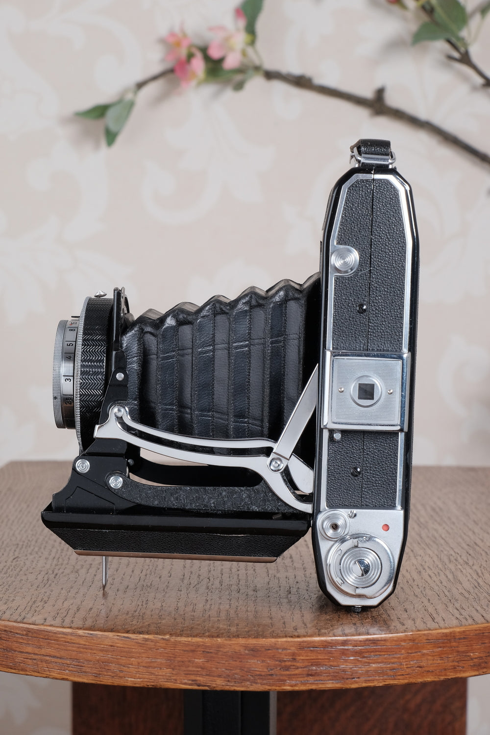 Mint! 1949 Zeiss-Ikon Ikonta 6x9, CLA'd, Freshly Serviced