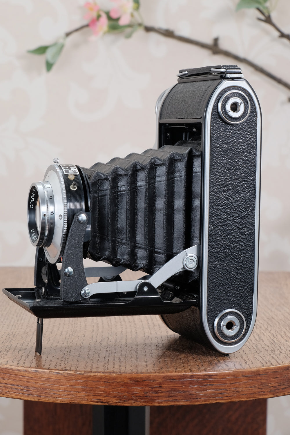 Mint! 1953 Voigtlander 6x9 Bessa I with Color-Skopar and original