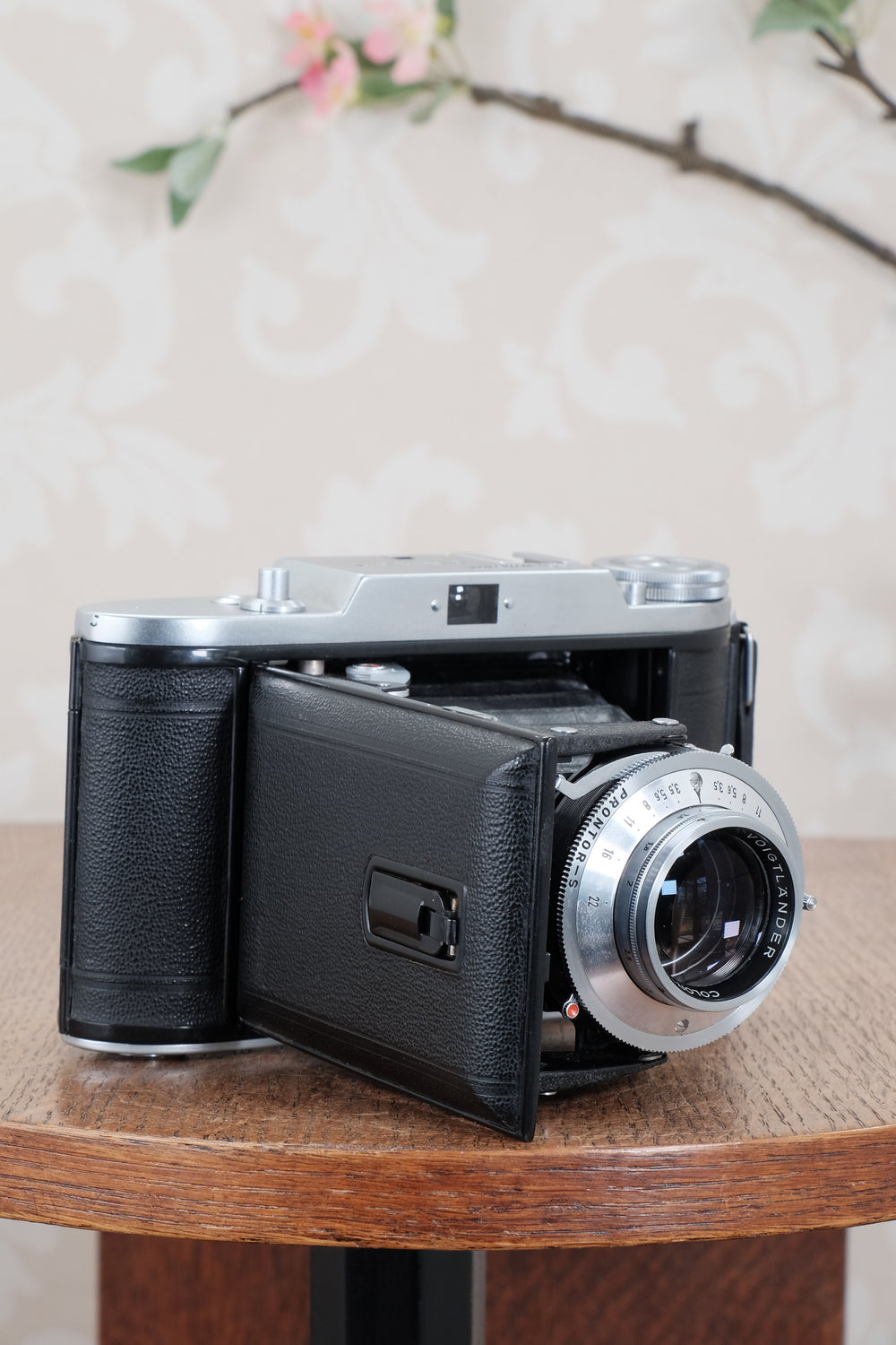 Mint! 1953 Voigtlander 6x9 Bessa I with Color-Skopar and original