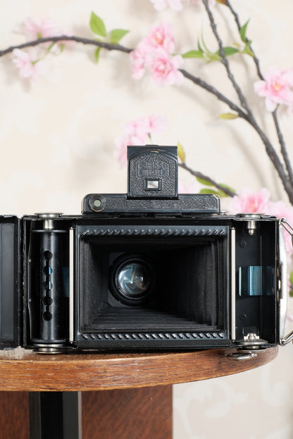 SUPERB! 1934 Zeiss Ikon 6x9 Super Ikonta C. CLA'd, Freshly Serviced!