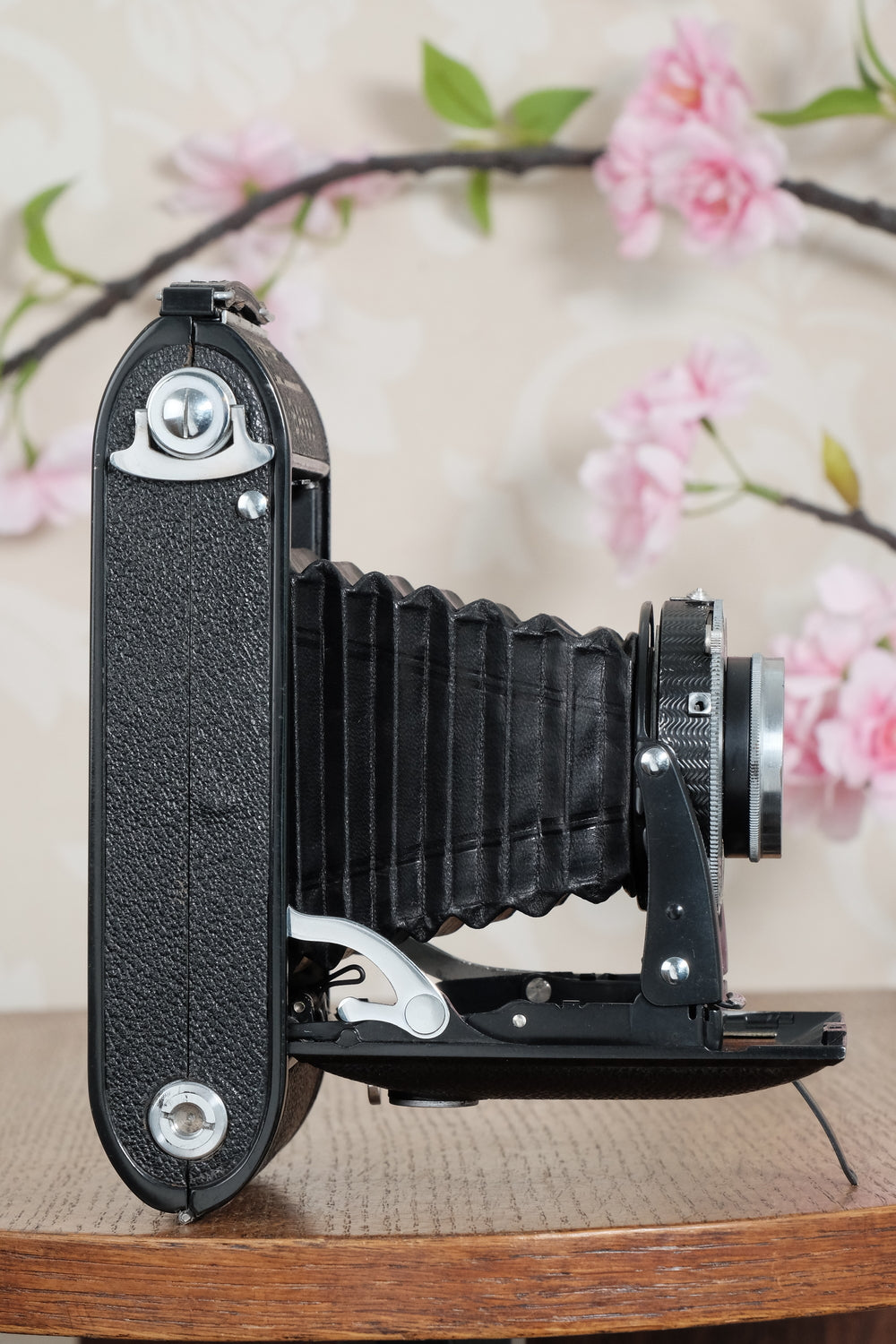 Super Rare! 1946 Voigtlander 6x9 Bessa Rangefinder with Heliar lens! Freshly Serviced, CLA'd.
