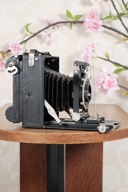 Superb! 1930 plate camera with a great f3.8/105mm Schneider Xenar lens & 120 roll film back. Freshly serviced CLA’d