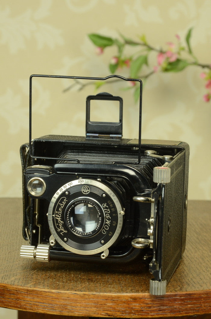SUPERB! 1931 Voigtlander BERGHEIL Camera with HELIAR LENS! Freshly serviced CLA’d - Voigtlander- Petrakla Classic Cameras