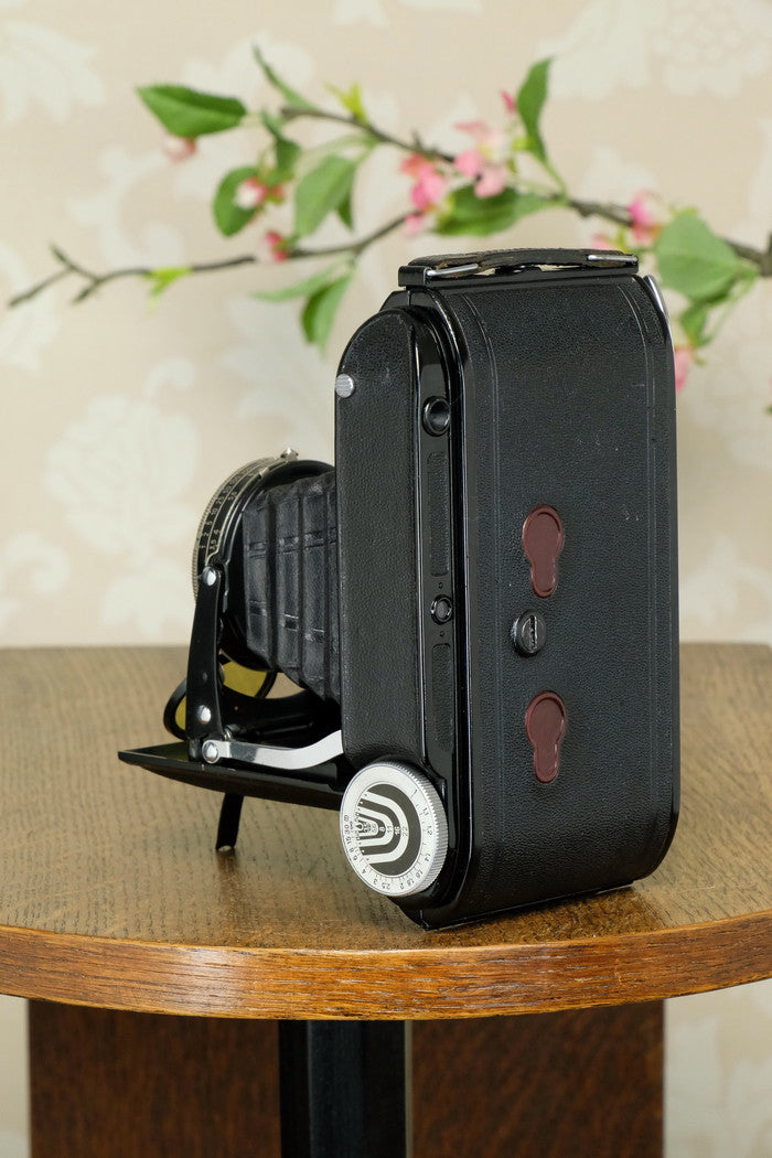 1936 Voigtlander 6x9 Bessa Rangefinder with Skopar lens, Freshly Serviced! - Voigtlander- Petrakla Classic Cameras