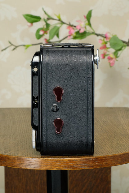 1936 Voigtlander 6x9 Bessa Rangefinder with Skopar lens, Freshly Serviced! - Voigtlander- Petrakla Classic Cameras