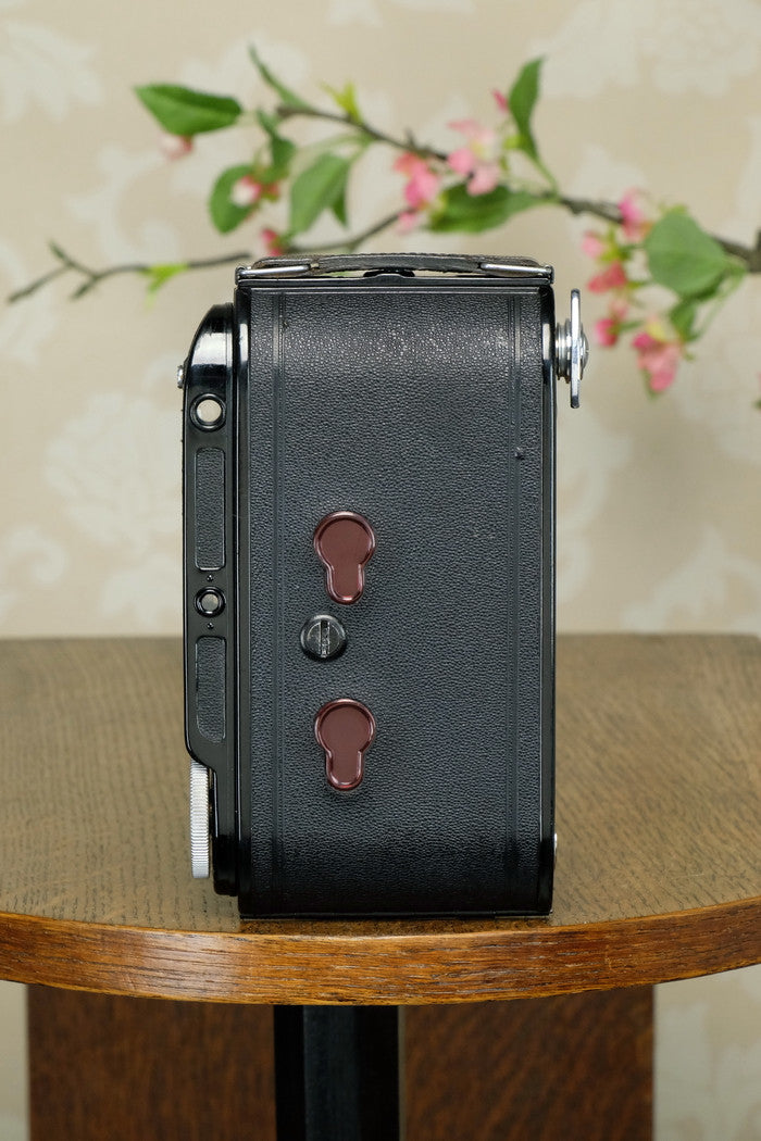 1936 Voigtlander 6x9 Bessa Rangefinder with Skopar lens, Freshly Serviced! - Voigtlander- Petrakla Classic Cameras