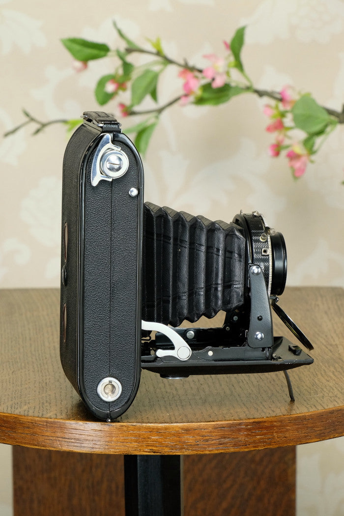 1936 Voigtlander 6x9 Bessa Rangefinder with Skopar lens, Freshly Serviced! - Voigtlander- Petrakla Classic Cameras