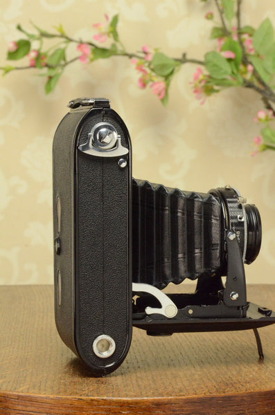 NEAR MINT 1938 Voigtlander Bessa Rangefinder, HELIAR LENS! 6x9, Freshly Serviced - Voigtlander- Petrakla Classic Cameras
