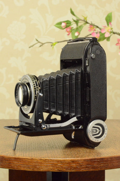 1939 Voigtlander Bessa Rangefinder with HELIAR LENS! 6x9, Freshly Serviced - Voigtlander- Petrakla Classic Cameras