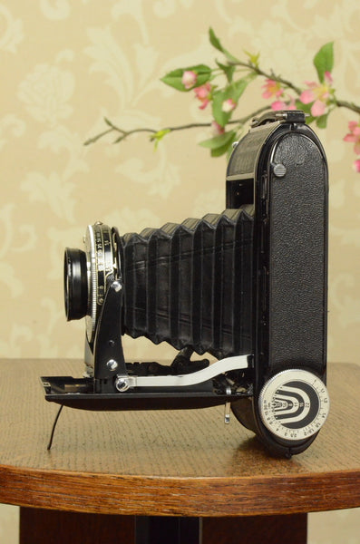 1939 Voigtlander Bessa Rangefinder with HELIAR LENS! 6x9, Freshly Serviced - Voigtlander- Petrakla Classic Cameras