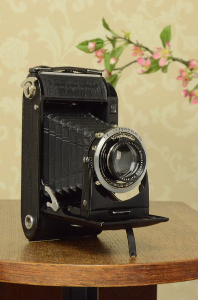 1939 Voigtlander Bessa Rangefinder with HELIAR LENS! 6x9, Freshly Serviced - Voigtlander- Petrakla Classic Cameras