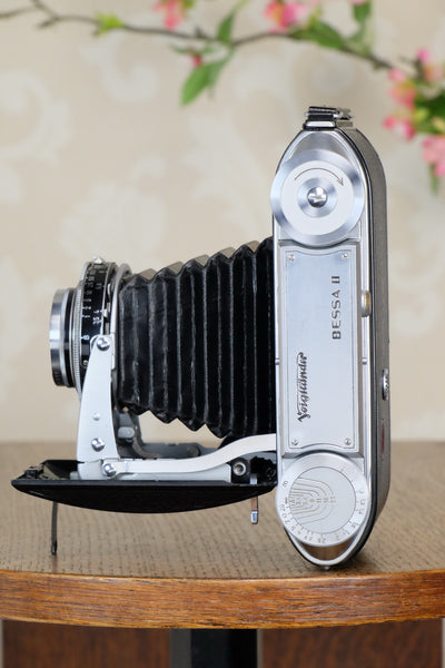 Superb! 1954 Voigtlander 6x9 Bessa II with Heliar lens, Freshly serviced, CLA'd - Voigtlander- Petrakla Classic Cameras