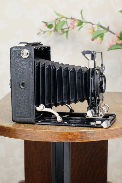 SUPERB! 1928 Voigtlander BERGHEIL Camera with HELIAR LENS and 120 Roll-film back! Freshly serviced CLA’d - Voigtlander- Petrakla Classic Cameras