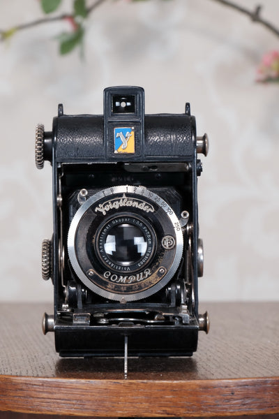 1935 Voigtlander Virtus 6x4.5 Folder, CLAd, Freshly Serviced!