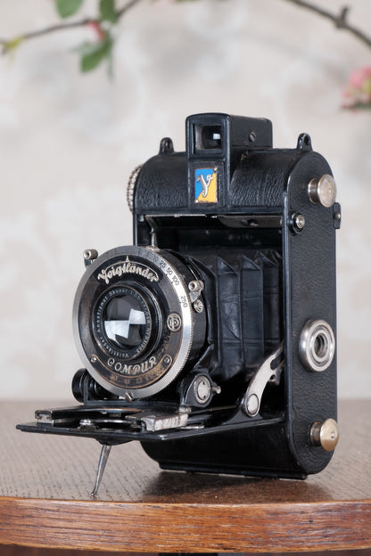 1935 Voigtlander Virtus 6x4.5 Folder, CLAd, Freshly Serviced!