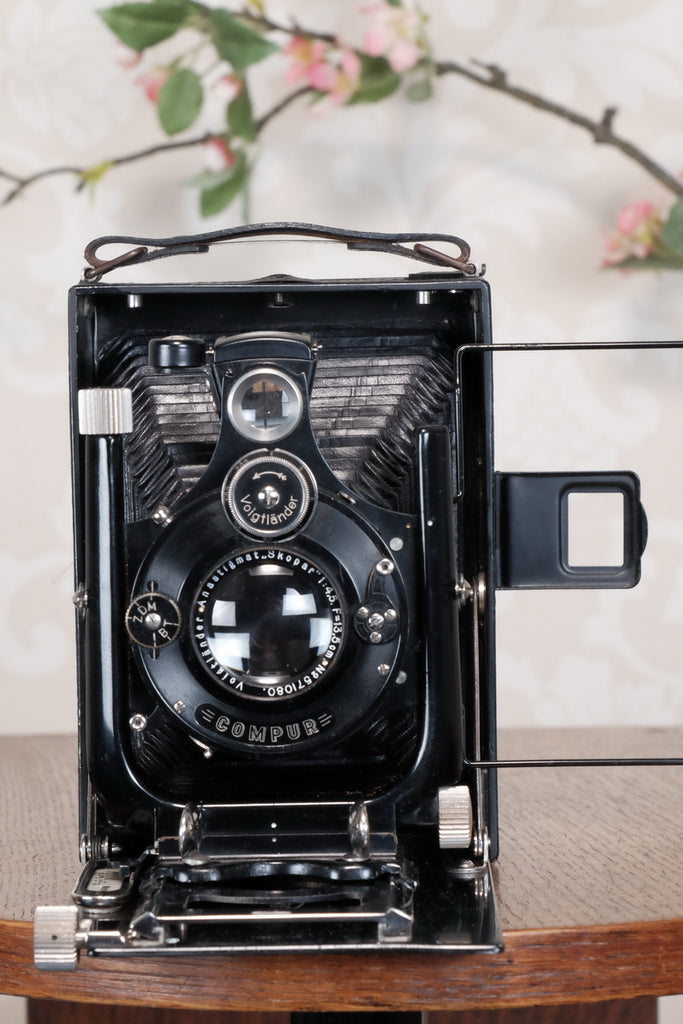 1931 Voigtlander 9x12 Camera with 6x9 120 roll film back. Freshly serviced, CLA'd!