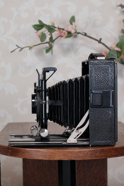 1931 Voigtlander 9x12 Camera with 6x9 120 roll film back. Freshly serviced, CLA'd!